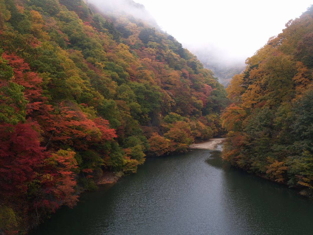 増富通仙峡の紅葉２ ファーム